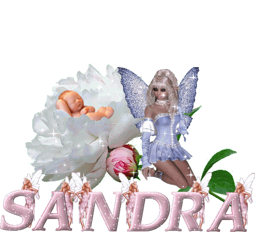 SANDRA  CREA JP59